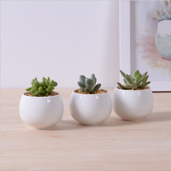 Maceta de cerámica blanca cuadrada creativa en miniatura
