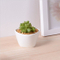 Mini escritorio Mini maceta de cerámica