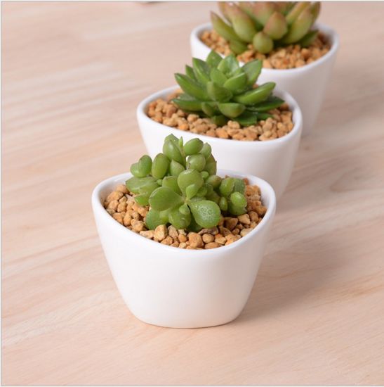 Creative Desktop - Triángulo de cerámica, mini maceta blanca