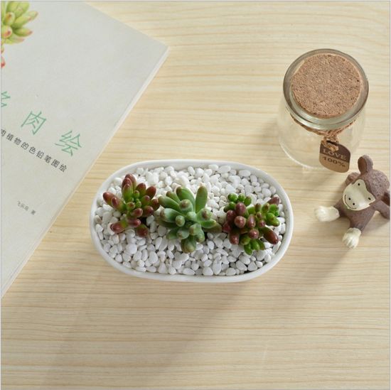 Mesa de centro Tipo de escritorio Maceta de cerámica Ganso blanco
