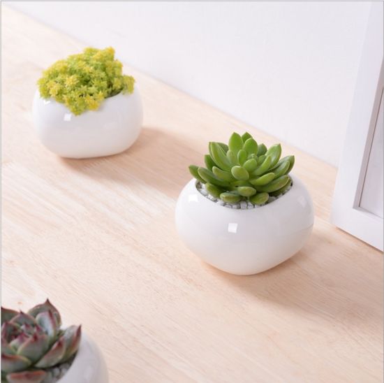 Maceta de cerámica blanca cuadrada creativa en miniatura